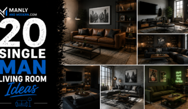 single man living room ideas