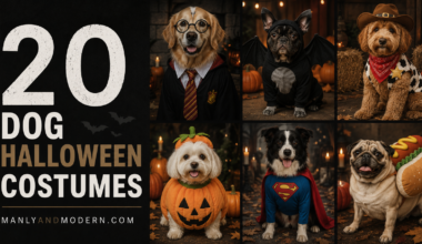 dog halloween costume
